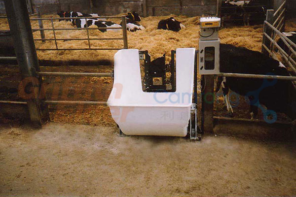 智能奶牛饲养系统(科研用)